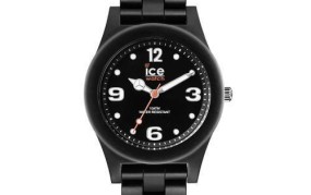 icewatch手表的设计风格如何？适合哪些人群？