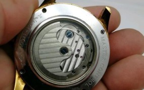 国产手表十大品牌国产机械表哪个机芯好