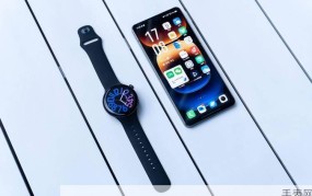 vivo watch论坛