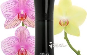 Armani Code香水哪款最适合男士？怎样挑选？