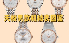手表的十大品牌男士国产，中国十大名牌手表排名榜男款