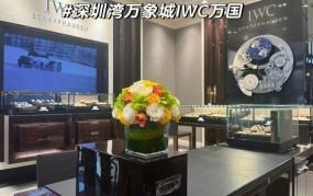 IWC Schaffhausen手表品质卓越，价格是否值得？