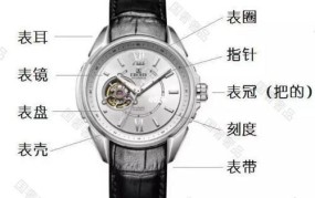 手表分为哪几种类型图解说明
